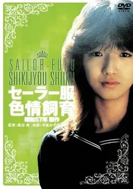 长夜将明高清电影免费观看